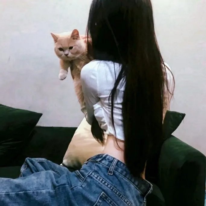 懵仔多情