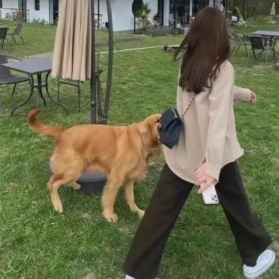 扭曲的规则